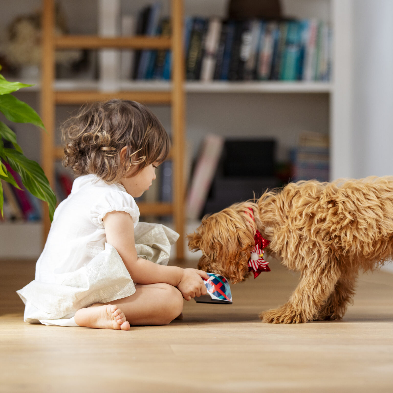 A little girl kneels on the floor holding a dog bowl while her pet dog leans over to eat from it